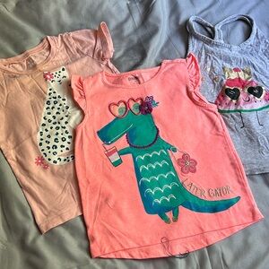 Bundle of Toddler Girls Shirts - size 3T